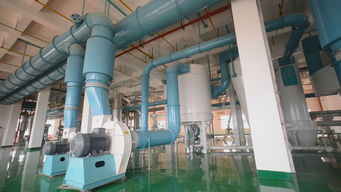 長城專訪丨蛙牌 為寵物帶去健康，為寵物主人帶來安心——專訪蛙牌軟件開發(fā)團(tuán)隊(duì)